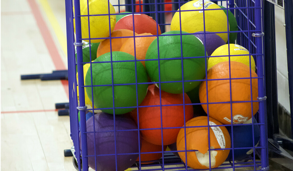 a selection of colourful bouncy balls in a blue wire bin.